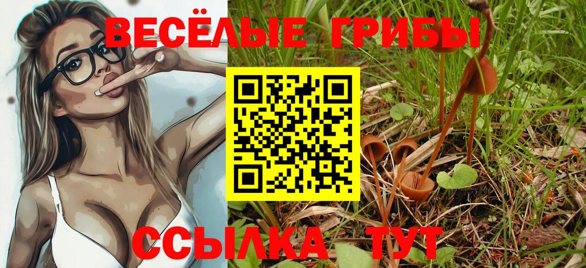 Псилоцибиновые грибы GOLDEN TEACHER  Вход с VPN  Псилоцибиновые грибы ЛСД  Лиски 